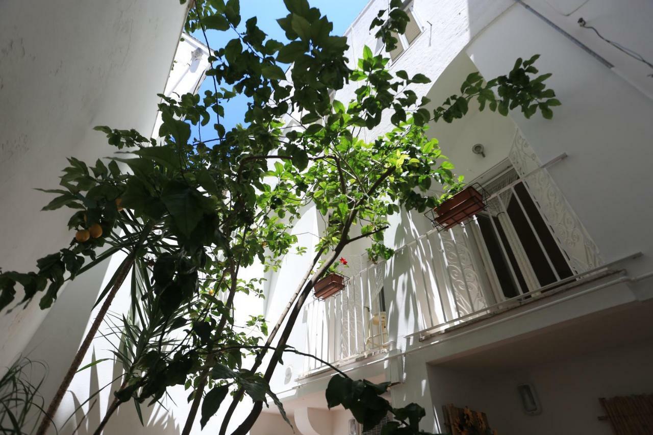 Il Cedrangolo House Tree Monopoli Luaran gambar